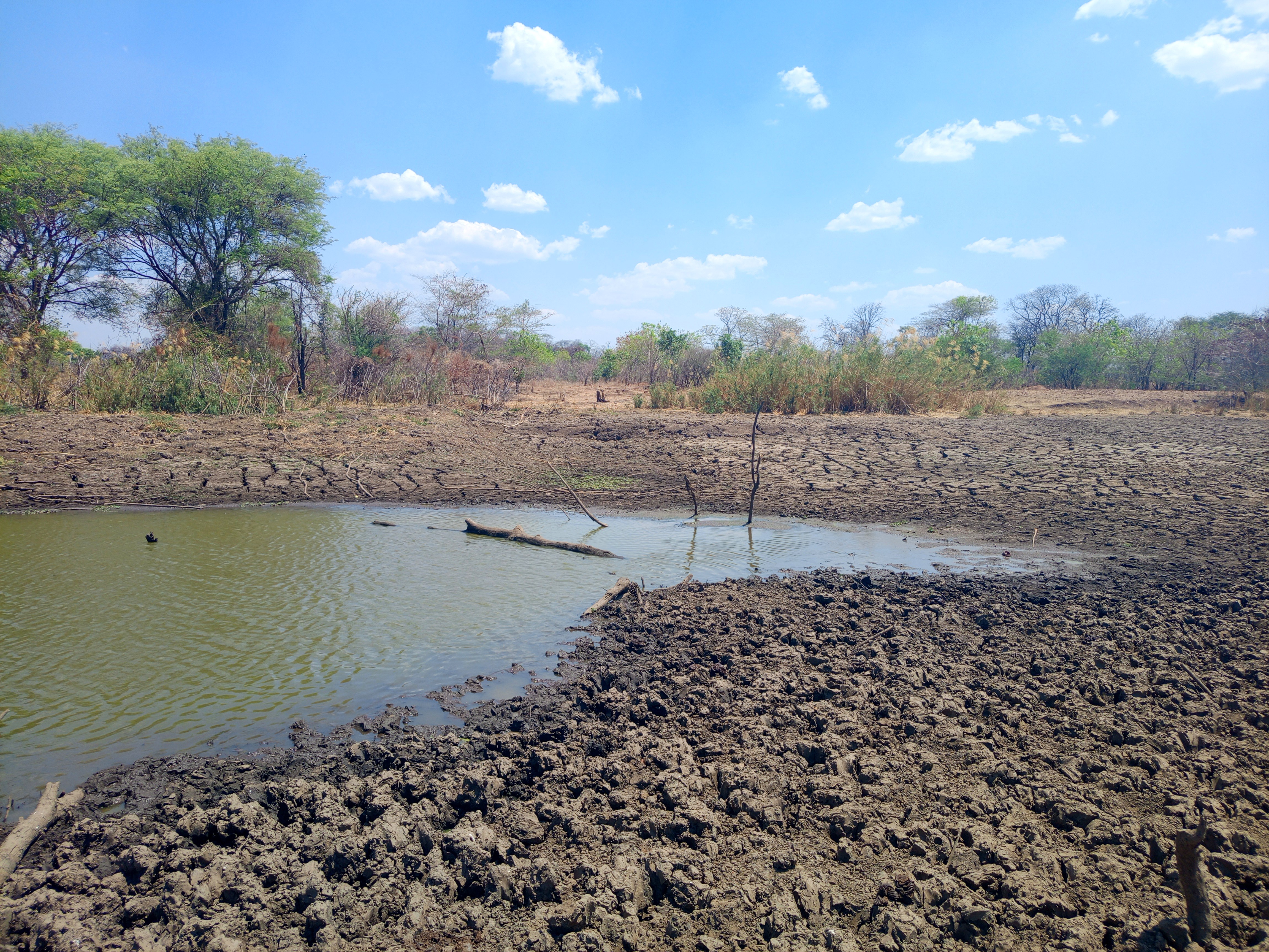 Dry-season lagoon